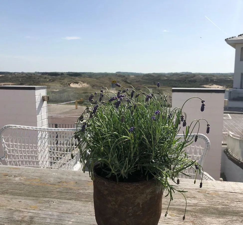 Endless Summer Beach Studio Zandvoort Hotel Netherlands